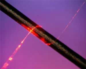 A subwavelength-diameter optical fibre wraps a beam of light around a strand of human hair. The nanowire is about one one-thousandth the width of the hair.