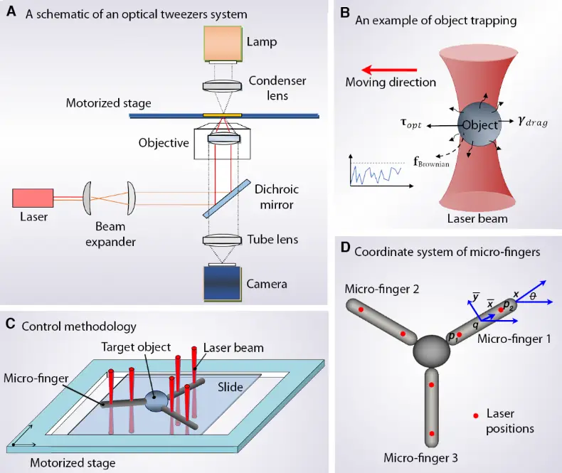 Concept and overview. The micro multi-fingered manipulation system is constituted by several micro-fingers and multiple laser beams. (A) A schematic of an Optical Tweezer System. (B) An illustration of optical trapping of a micro-object. (C) Multiple laser beams are generated to trap the fingers. Two laser beams are used to trap each finger so that both the planar position and orientation of the micro-finger can be controlled simultaneously. (D) Coordinate system of the micro fingers.