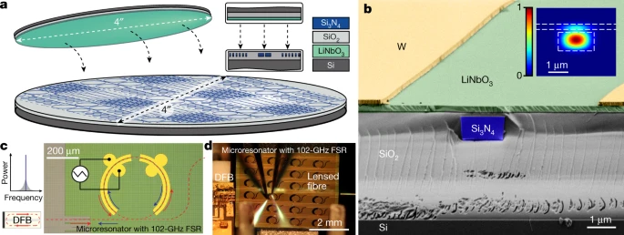 a, Schematic illustration of the heterogeneous Si3N4–LiNbO3 platform realized by heterogeneous integration of a 4″ (100 mm) thin-film LiNbO3 wafer onto a 4″ Si3N4 wafer, with cross-sections of both wafers. b, False-colour SEM image of a heterogeneous Si3N4–LiNbO3 waveguide cross-section. The original SEM image data are shown in Extended Data Fig. 1. Inset: a finite-difference time-domain simulation of the spatial distribution of the hybrid transverse electric mode’s electric-field amplitude with 12% participation in LiNbO3, electric-field maximum is coloured in red and minimum in blue. c, Schematic illustration of the self-injection locking principle. The optical path is marked with the dashed red line. The red arrow shows the forward optical wave and the blue arrow shows the reflected optical wave from a microresonator. Laser wavelength tuning is achieved by applying a voltage signal (for example, a linear ramp) on the tungsten electrodes. The structures in yellow are the tungsten electrodes. d, Photo of the set-up with a DFB laser butt-coupled to a heterogeneous Si3N4–LiNbO3 chip (sample D67_01b C16 WG 4.2). A pair of probes touch the electrodes for electro-optic modulation, and a lensed fibre collects the output radiation.