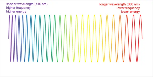 Light travels as waves, and each different color has a different wavelength. This diagram indicates that violet photons have the shortest wavelength and highest frequency of all visible light. This shows which color of visible light has the shortest wavelength on the left side of the graph and longest wavelength on the right side.