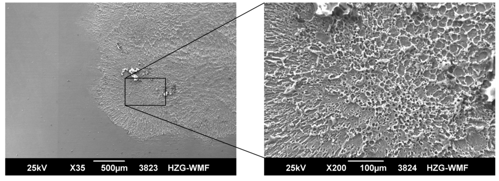 SEM micrographs of an AA2024-T3clad peened area applying two sequences by using a laser focus size of 1 mm × 1 mm and a laser pulse energy of 1.5 J. For the first sequence, the advancing direction was chosen to be orthogonal and, in the second sequence, parallel to the rolling direction. The surface area indicates molten surface material for the peened area.