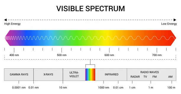 Chart of the electromagnetic spectrum, showing the visible wavelengths in the middle. The color with the shortest wavelength (Violet) is on the left and the longest wavelength (Red) is on the right.