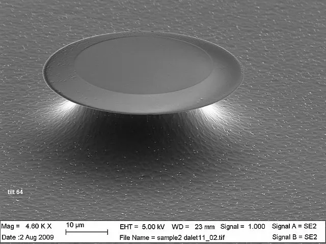 It's a SEM picture of a microdisk resonator, about 40 um diameter, in order to create a toroid there needs to be a CO2 reflow. Later it can be used as an optical whispering gallery modes resonator. Credit: Itay Shomroni